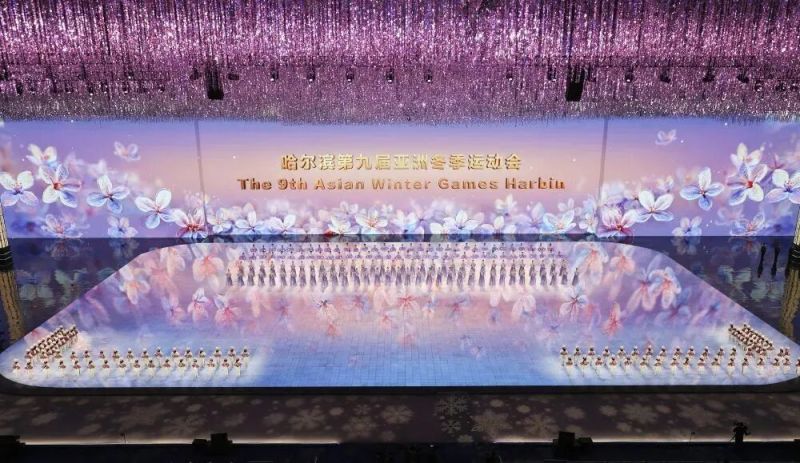 国家级认可！芯涛微电子荣膺专精特新“小巨人” 称号