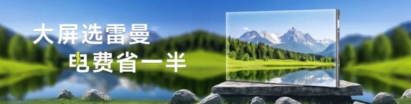 惠州雷曼入选2025年广东省先进级智能工厂