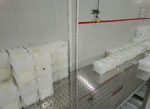 【智汇一线】小创新·大进步——国星光电