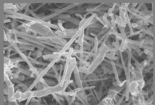 【技术解析】锡膏技术破局锡晶须，守护电子制造可靠性